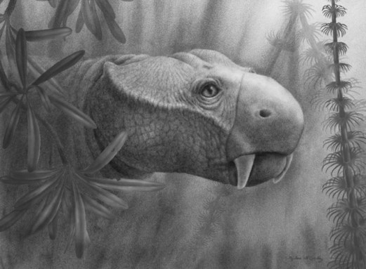 This black and white drawing shows the head of a tufted dicynodont peering through some vegetation. The creature is now gone.